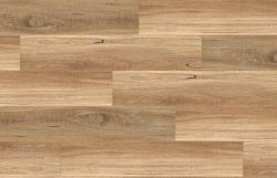 Spotted Gum